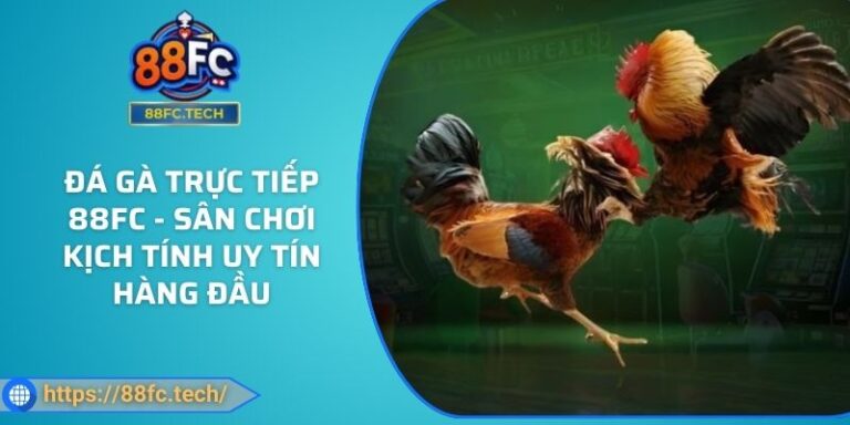 Đá Gà Trực Tiếp 88FC - Sân Chơi Kịch Tính Uy Tín Hàng Đầu 6 Đá Gà Trực Tiếp 88FC - Sân Chơi Kịch Tính Uy Tín Hàng Đầu